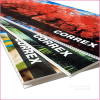 Next Day Correx Printing